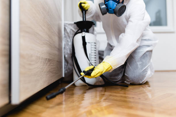 Best Wildlife Control Services  in Carlyss, LA