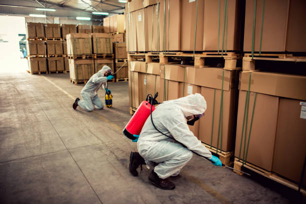 Best Pest Control Near Me  in Carlyss, LA