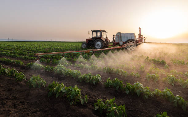 Best Pest Removal Services  in Carlyss, LA