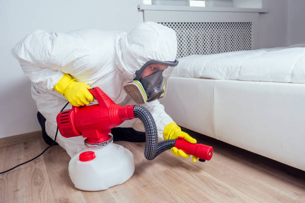Best Bed Bug Extermination  in Carlyss, LA