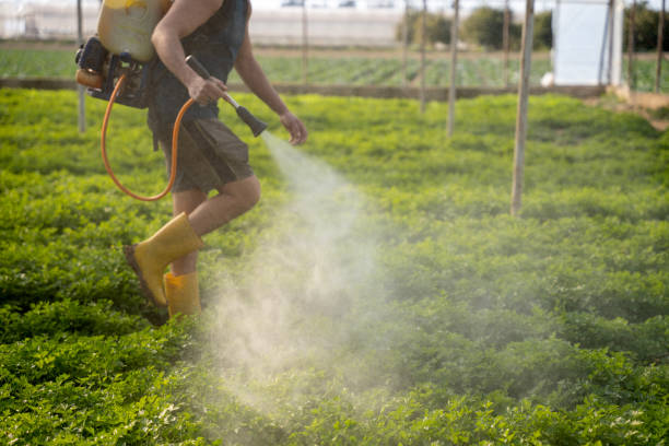 Best Mosquito Control Services  in Carlyss, LA